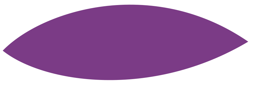 purple middle